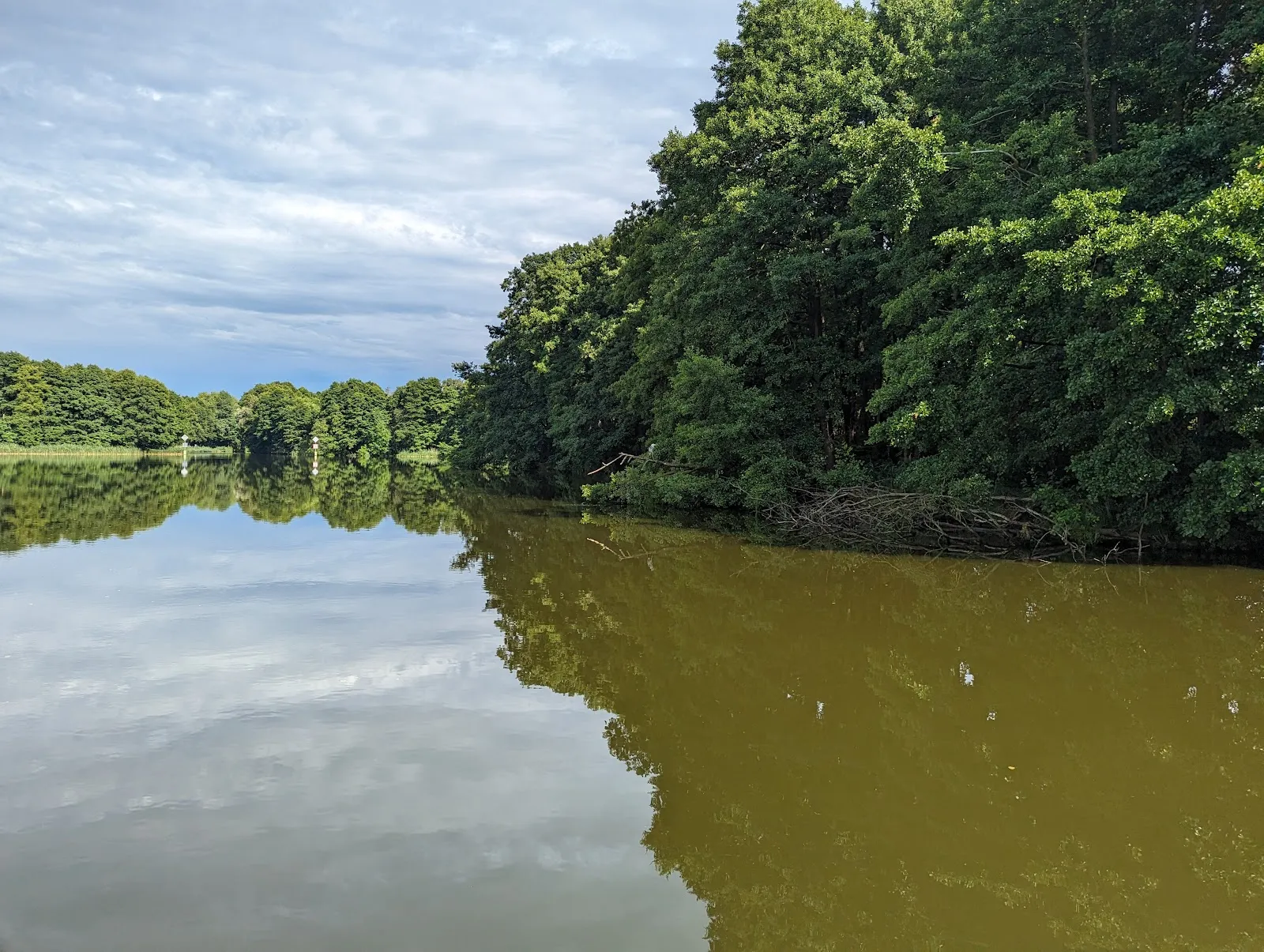 Живописное озеро Хайдезе в Германии, окруженное зеленью
