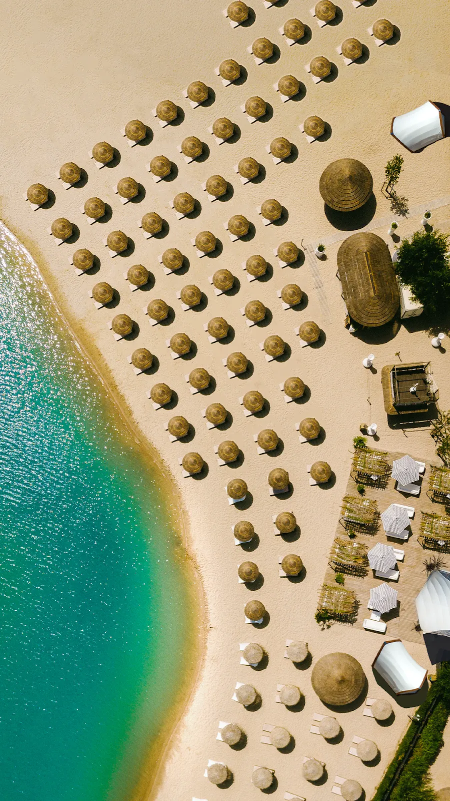 Хамелеон-ам-Зее