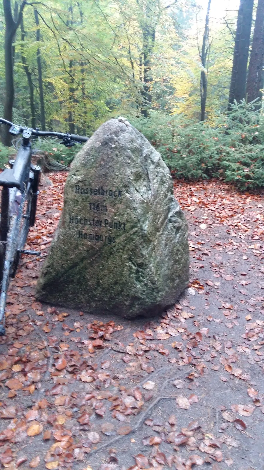 Вид на вершину Хассельбрак в Гамбурге