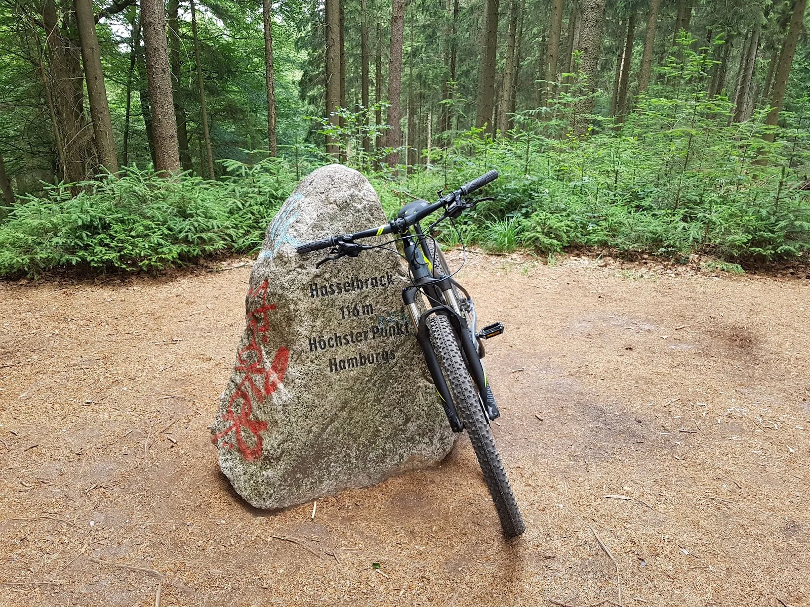 Вид на вершину Хассельбрак в Гамбурге