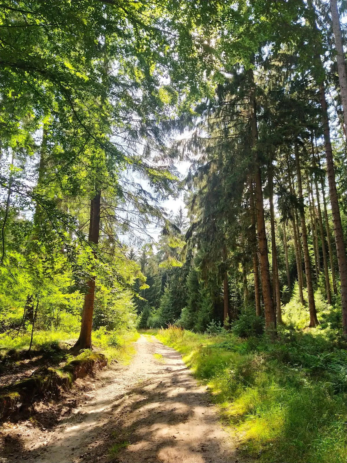 Вид на вершину Хассельбрак в Гамбурге