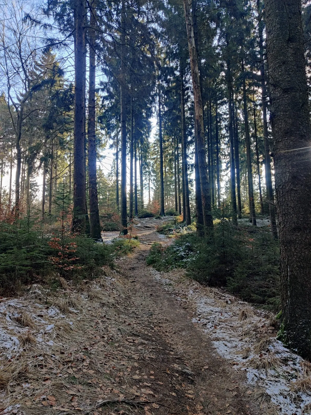 Вид на вершину Хассельбрак в Гамбурге