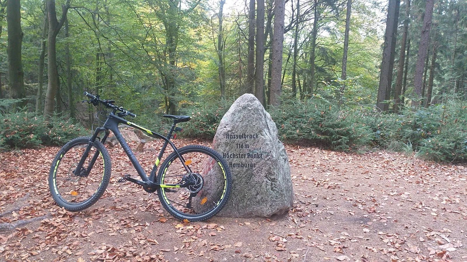 Вид на вершину Хассельбрак в Гамбурге