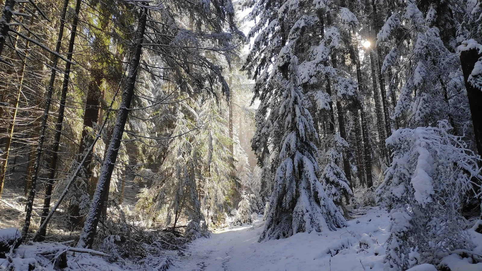 Вид на вершину Хассельбрак в Гамбурге