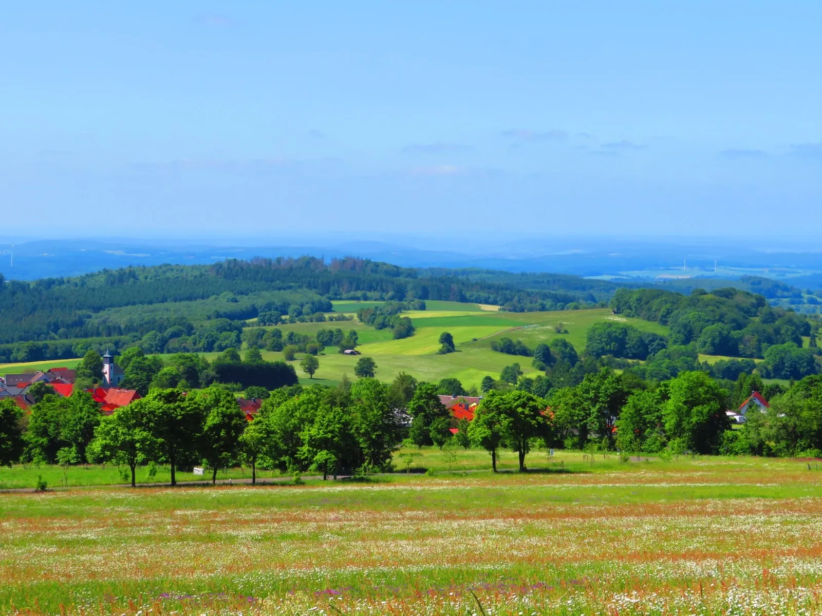 Херхенхайнер Хёе