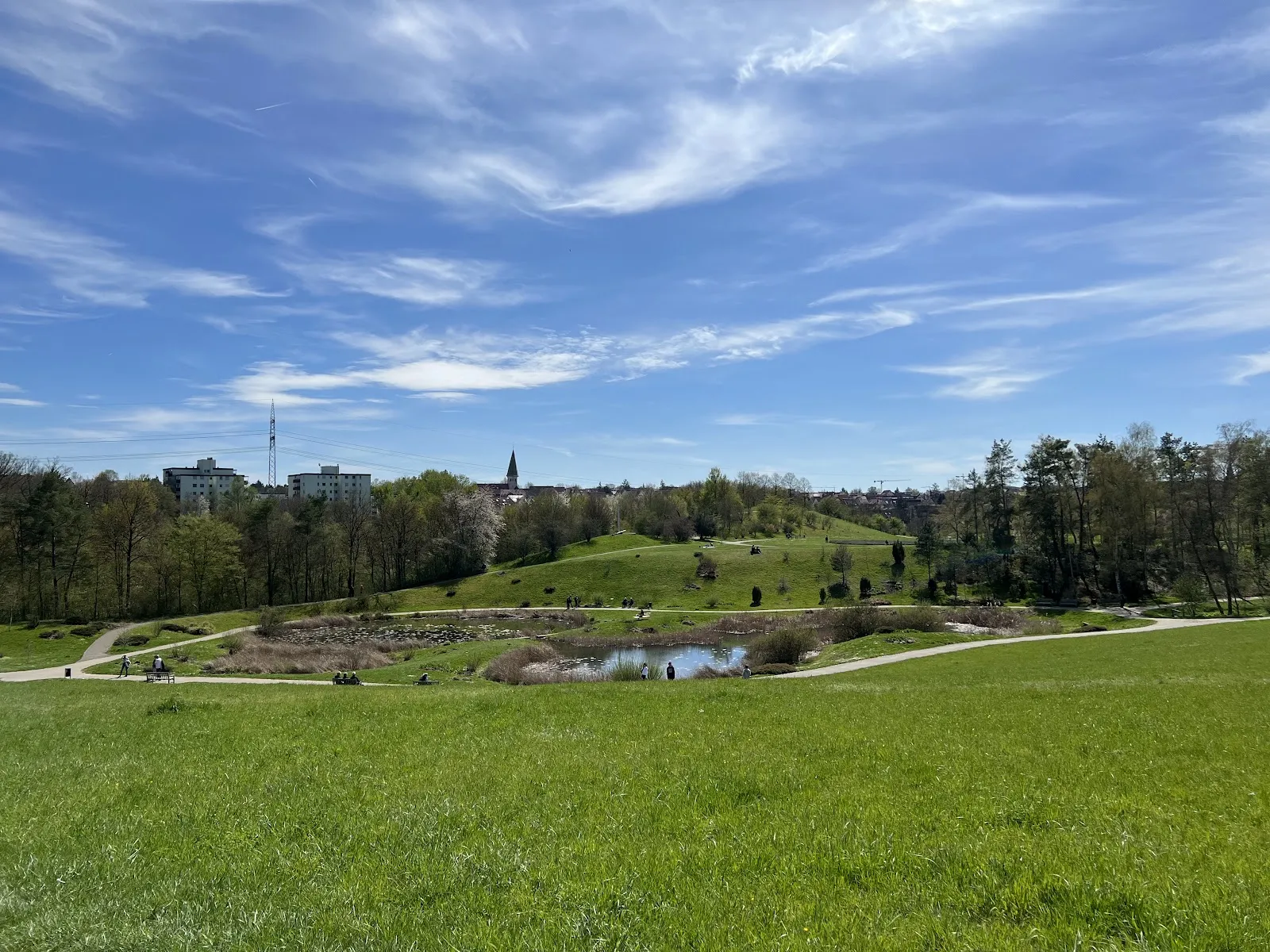 Хоэнхаймерская оранжерея, ботанический сад, растения, Штутгарт