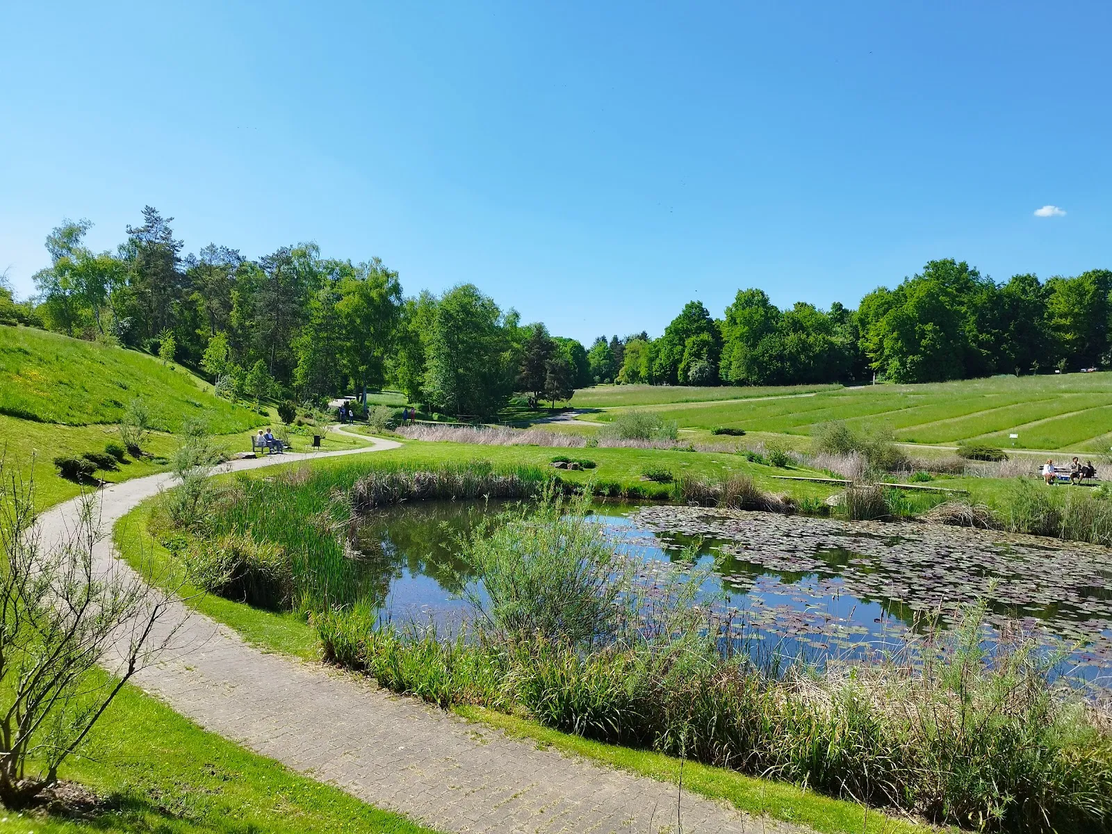 Хоэнхаймерская оранжерея, ботанический сад, растения, Штутгарт