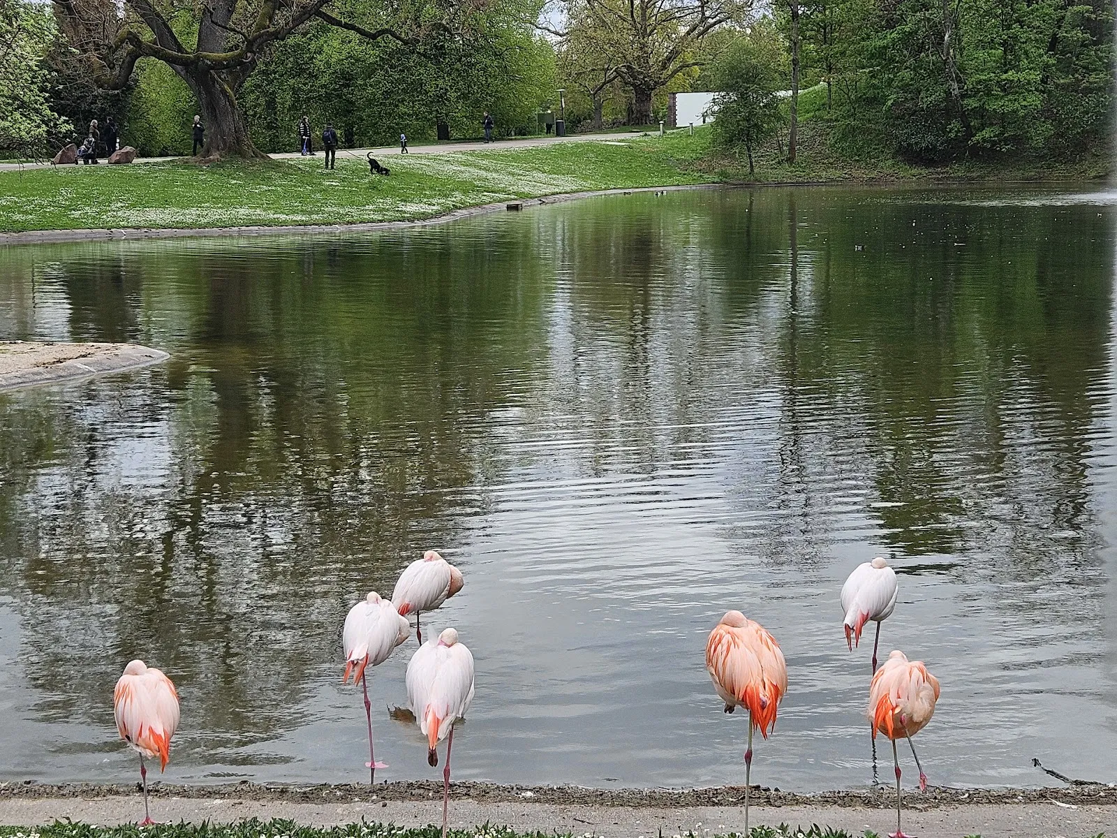 Вид на Хёэнпарк Киллесберг со знаменитой телебашней
