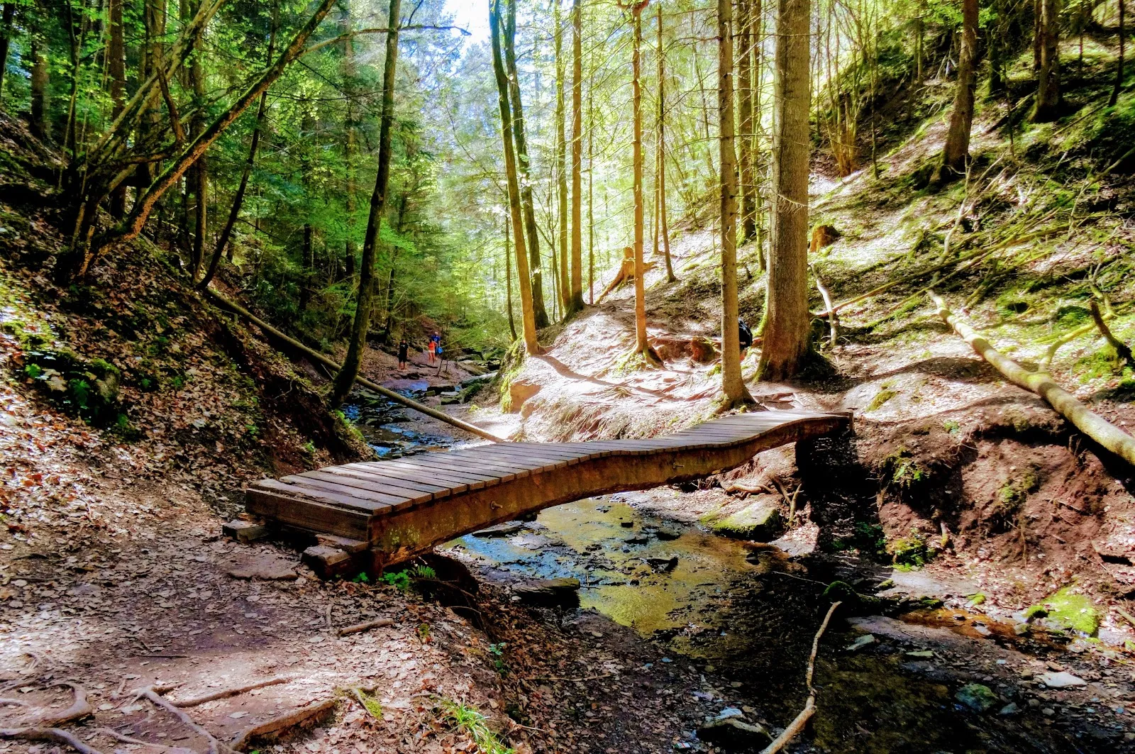 Водопад в долине Хёршбахталь, Мурхардт, Германия