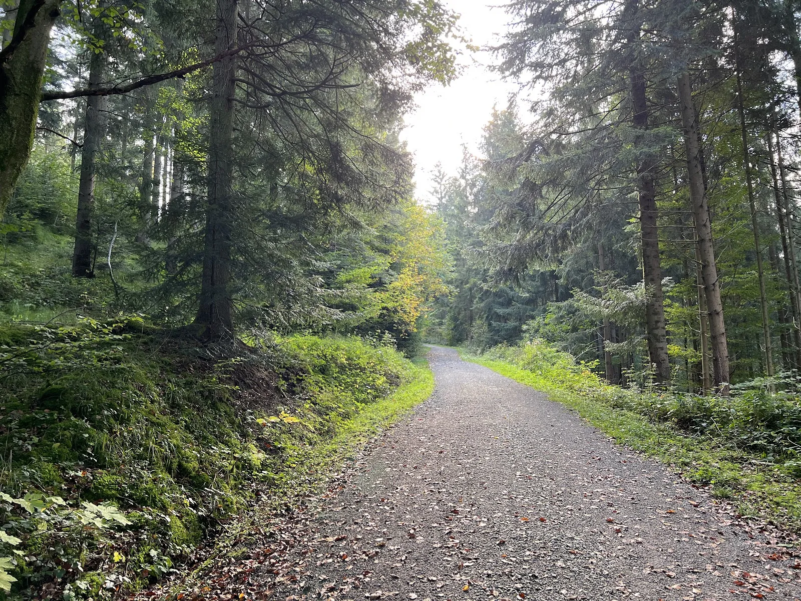 Водопад в долине Хёршбахталь, Мурхардт, Германия