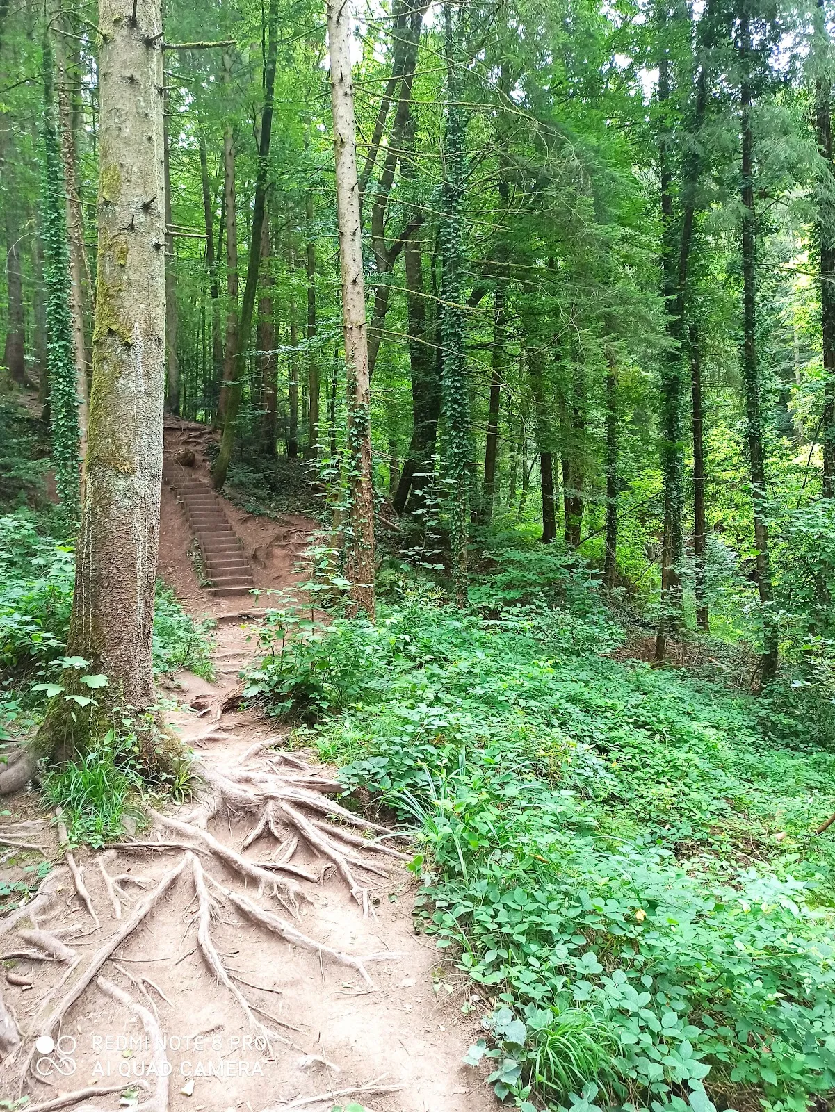 Водопад в долине Хёршбахталь, Мурхардт, Германия