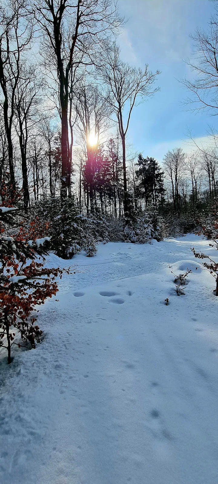 Источник Бонифация на фоне исторической архитектуры