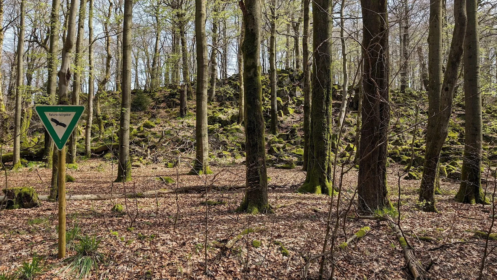 Источник Бонифация на фоне исторической архитектуры