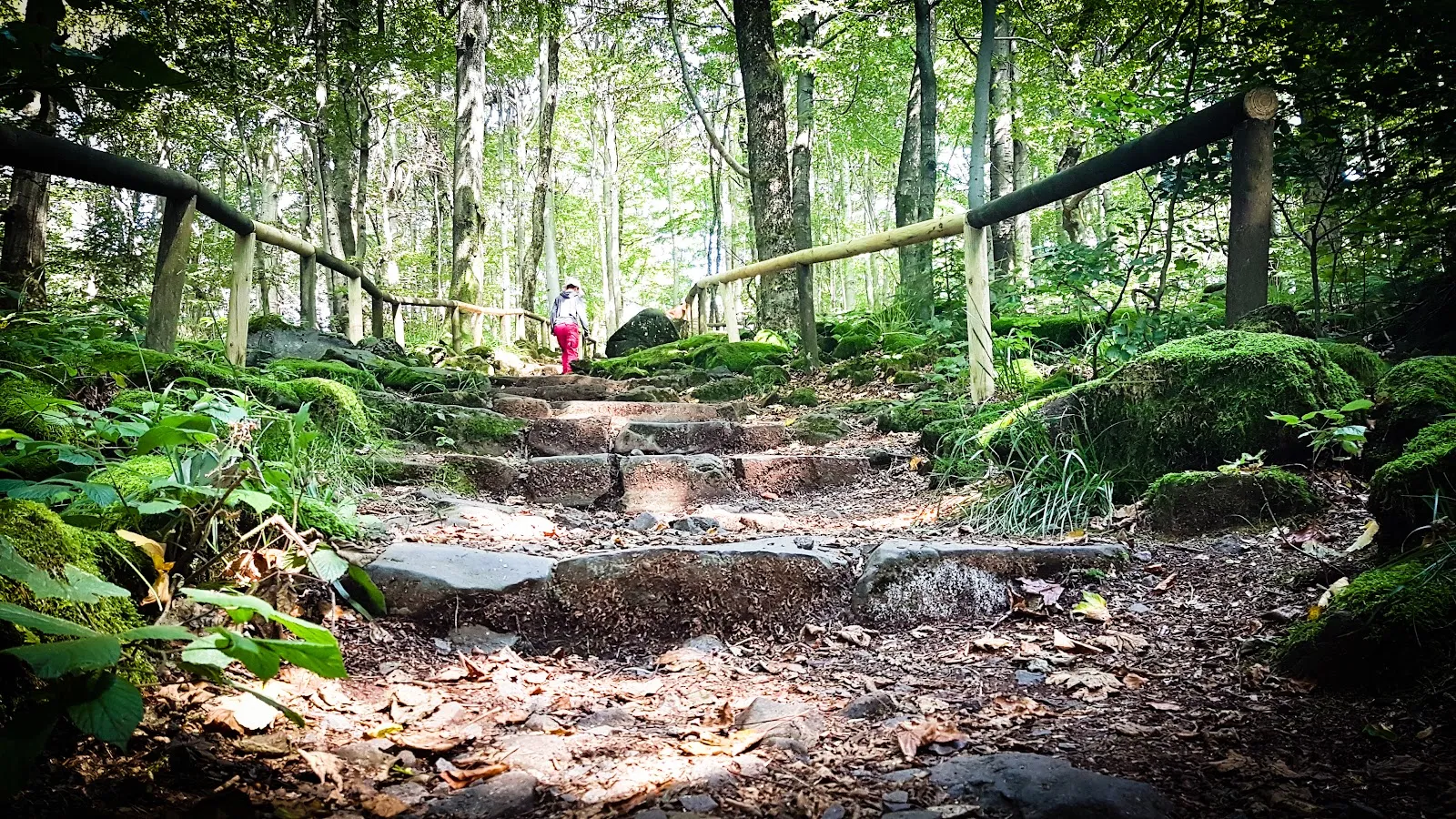 Источник Бонифация на фоне исторической архитектуры