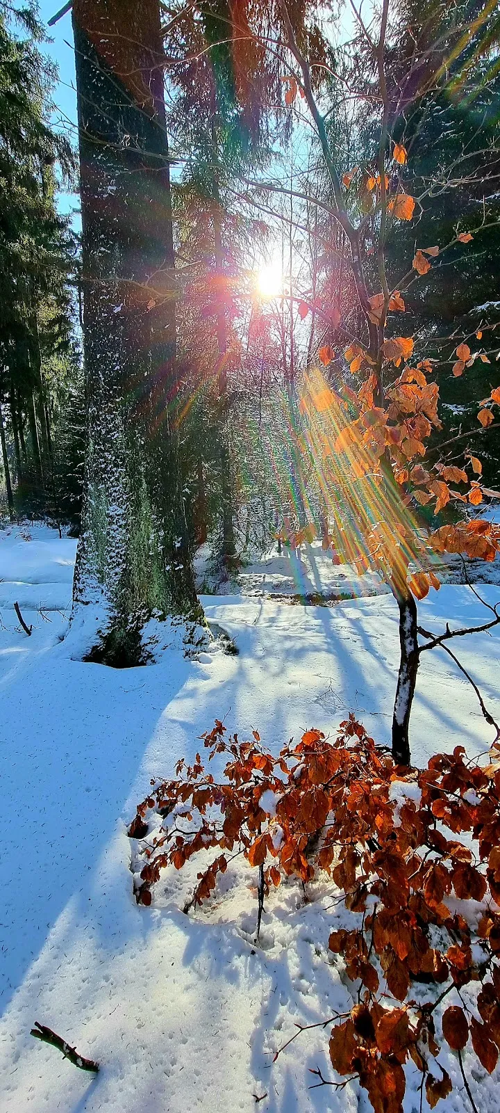 Источник Бонифация на фоне исторической архитектуры