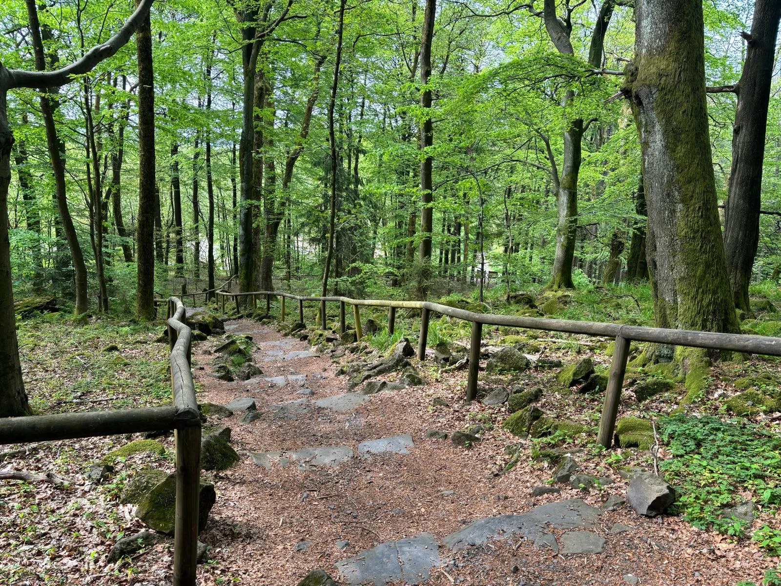 Источник Бонифация на фоне исторической архитектуры