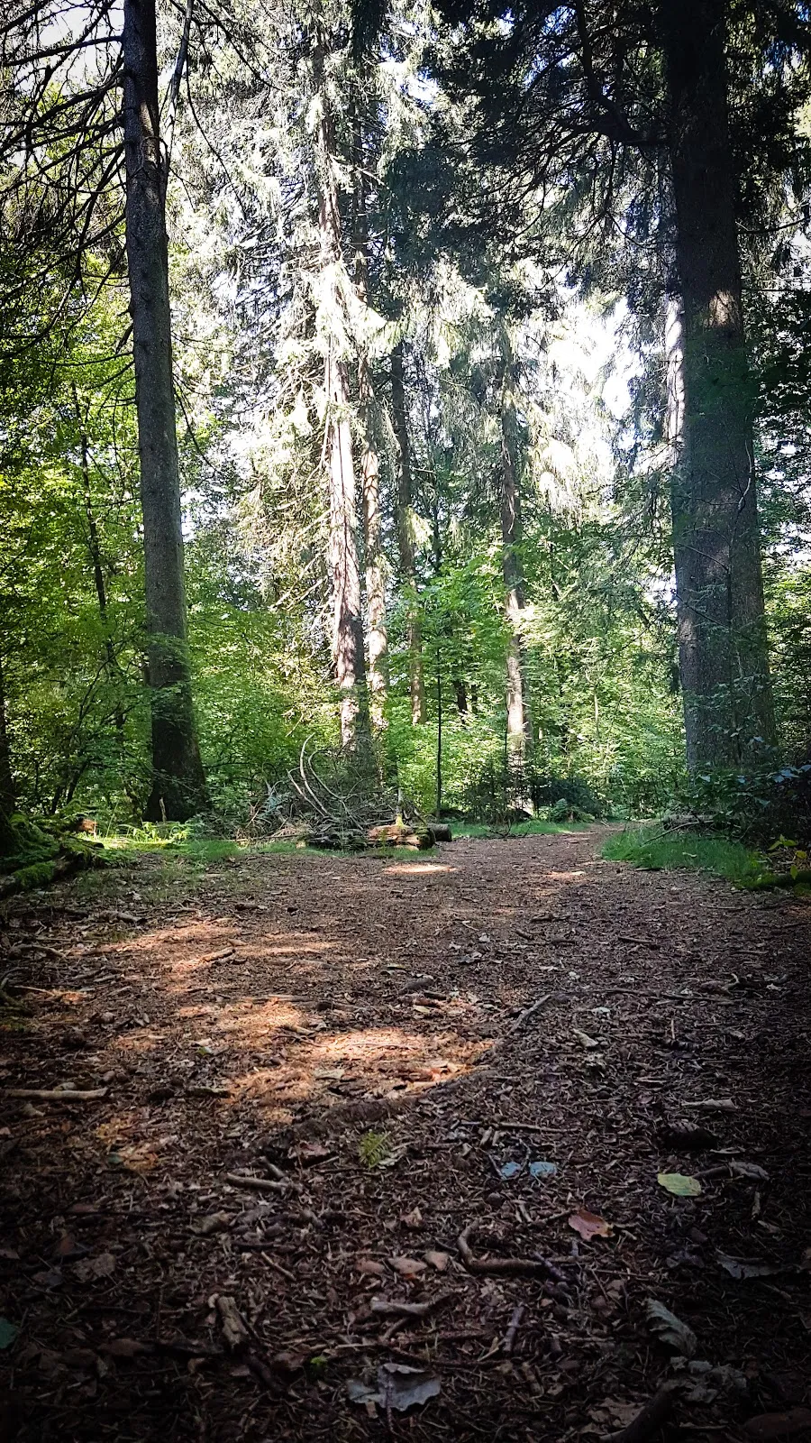 Источник Бонифация на фоне исторической архитектуры