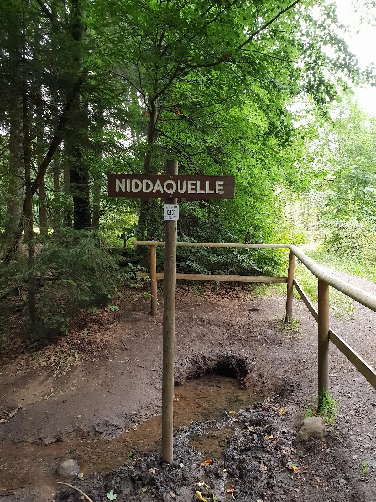 Исток Нидды