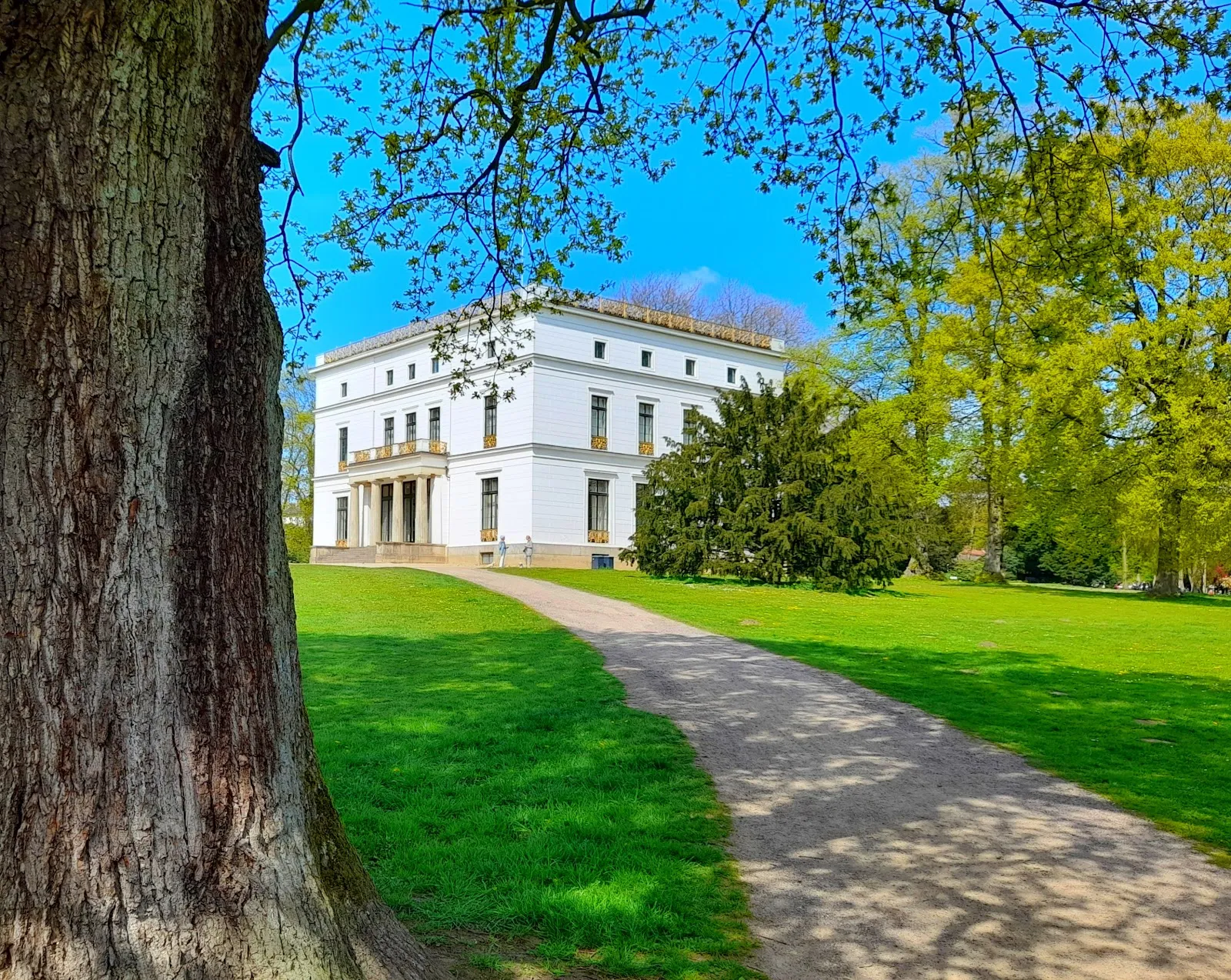Зеленый парк Йенишпарк в Гамбурге с деревьями и газонами