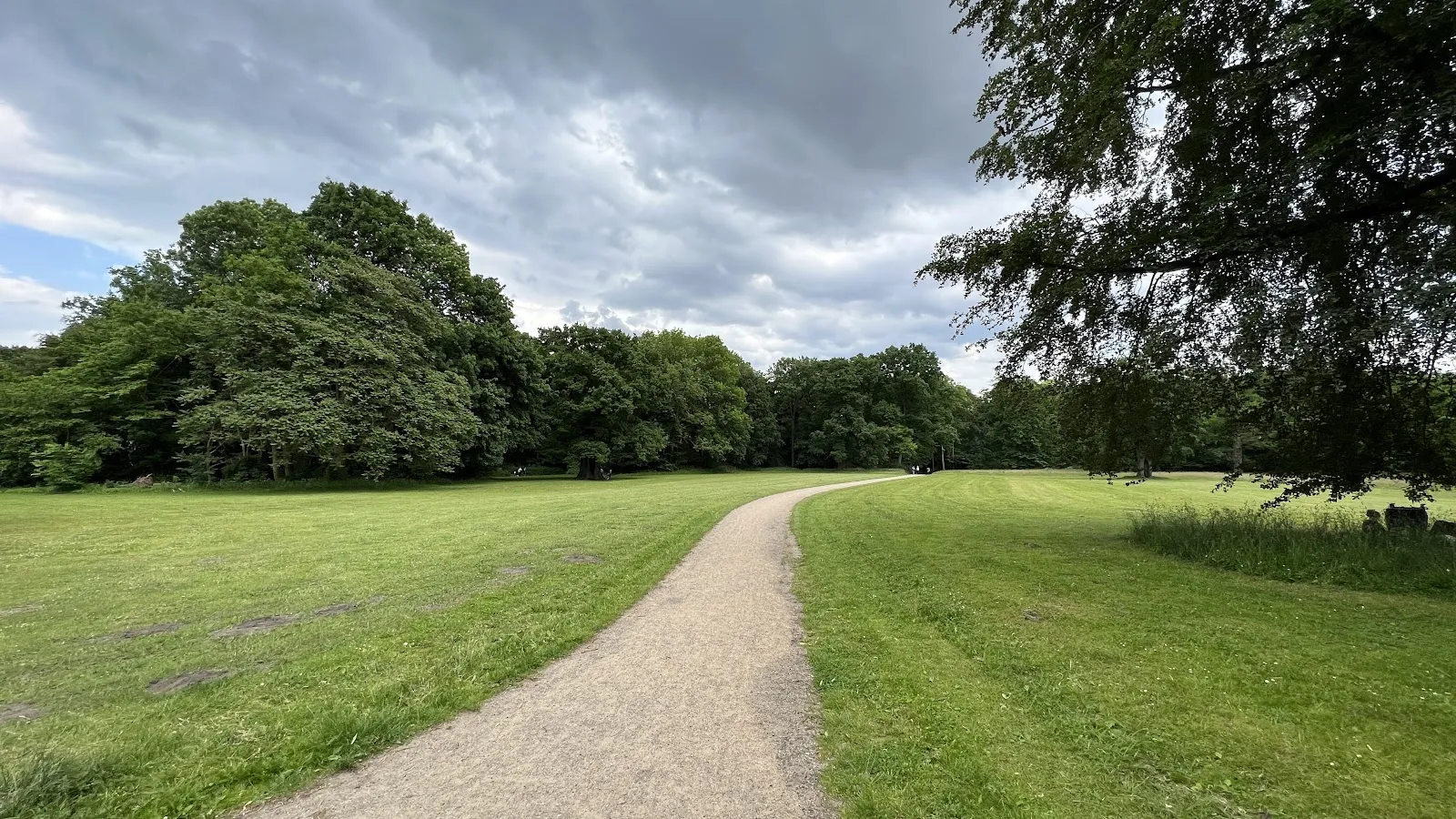 Зеленый парк Йенишпарк в Гамбурге с деревьями и газонами