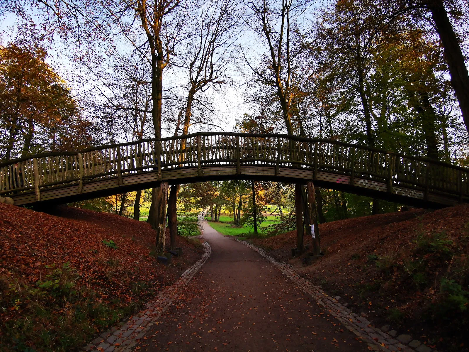 Зеленый парк Йенишпарк в Гамбурге с деревьями и газонами