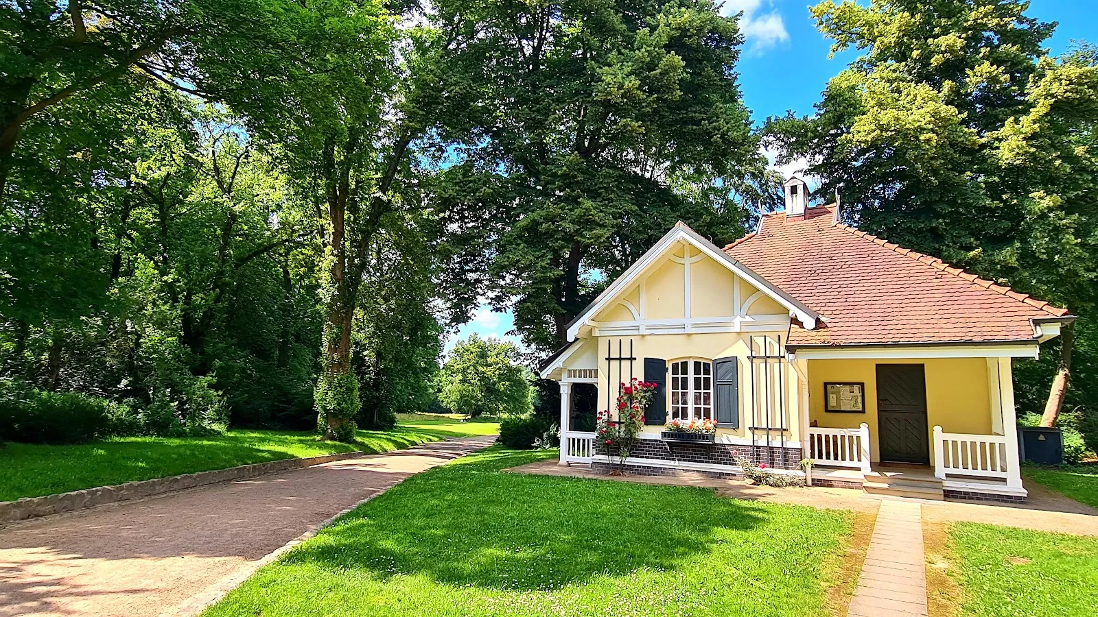 Зеленый парк Йенишпарк в Гамбурге с деревьями и газонами