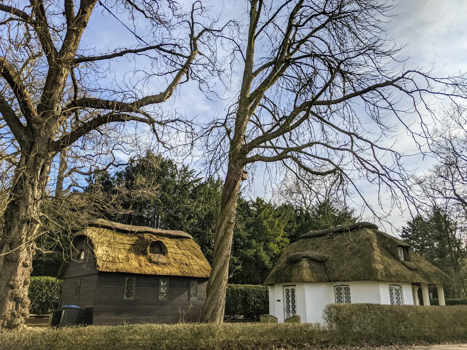 Зеленый парк Йенишпарк в Гамбурге с деревьями и газонами