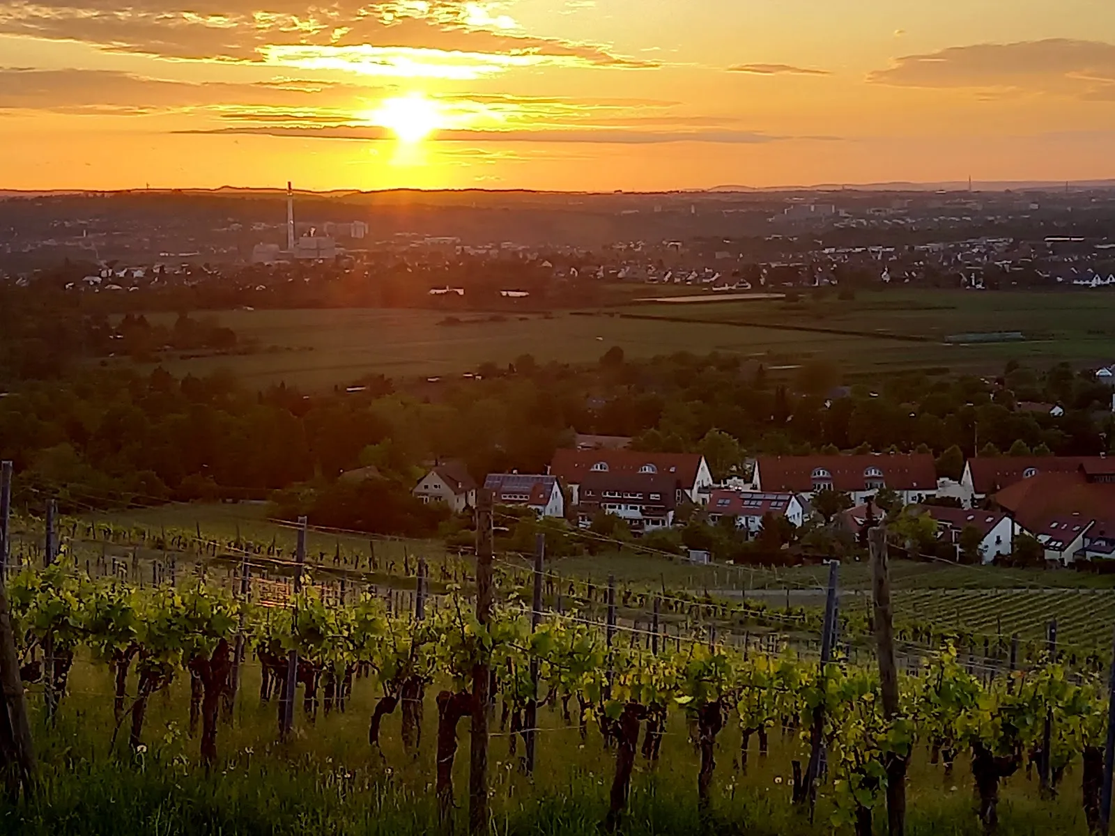 Вид на Штутгарт со смотровой площадки на Каппельберге