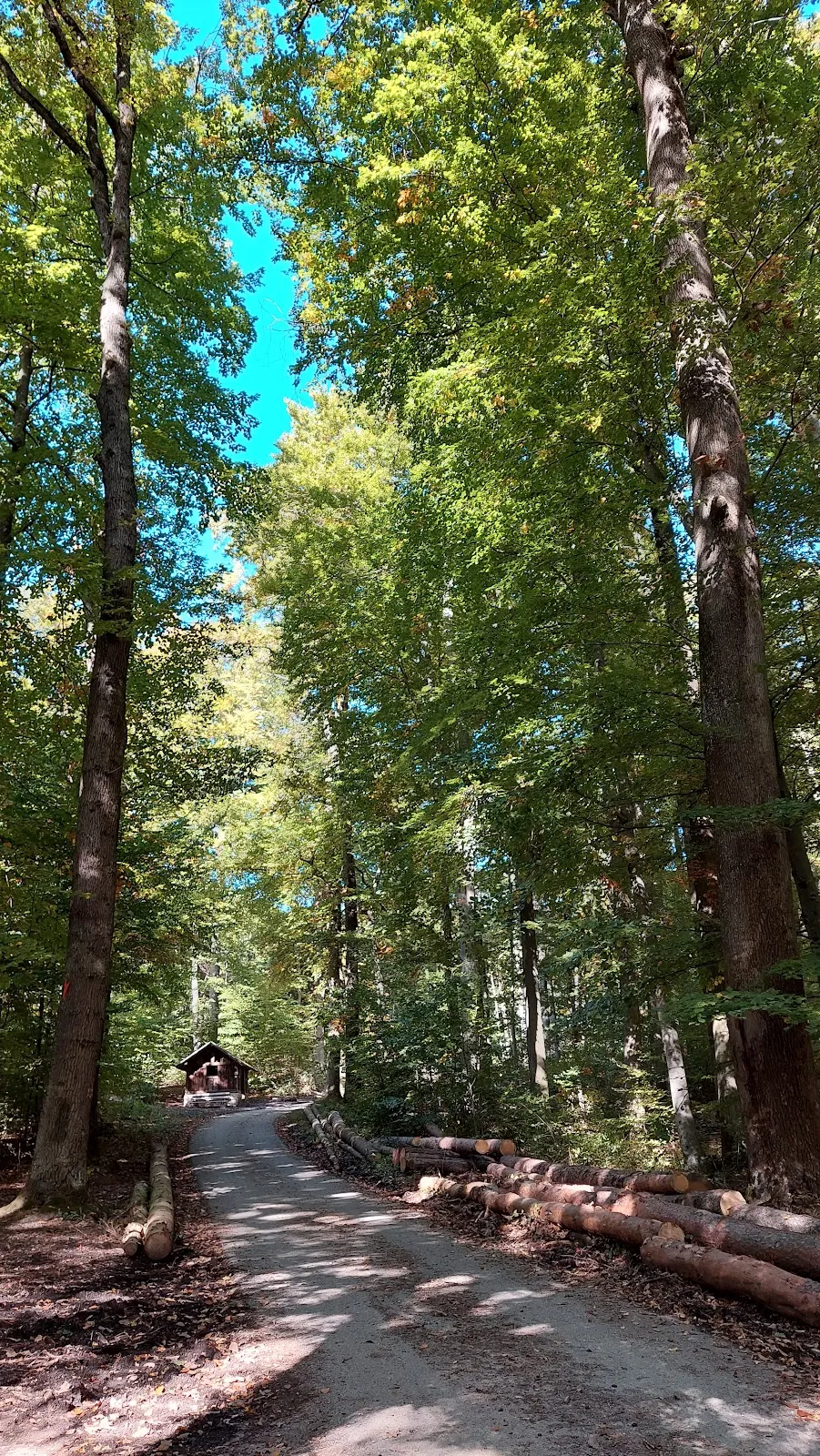 Вид на Штутгарт со смотровой площадки на Каппельберге