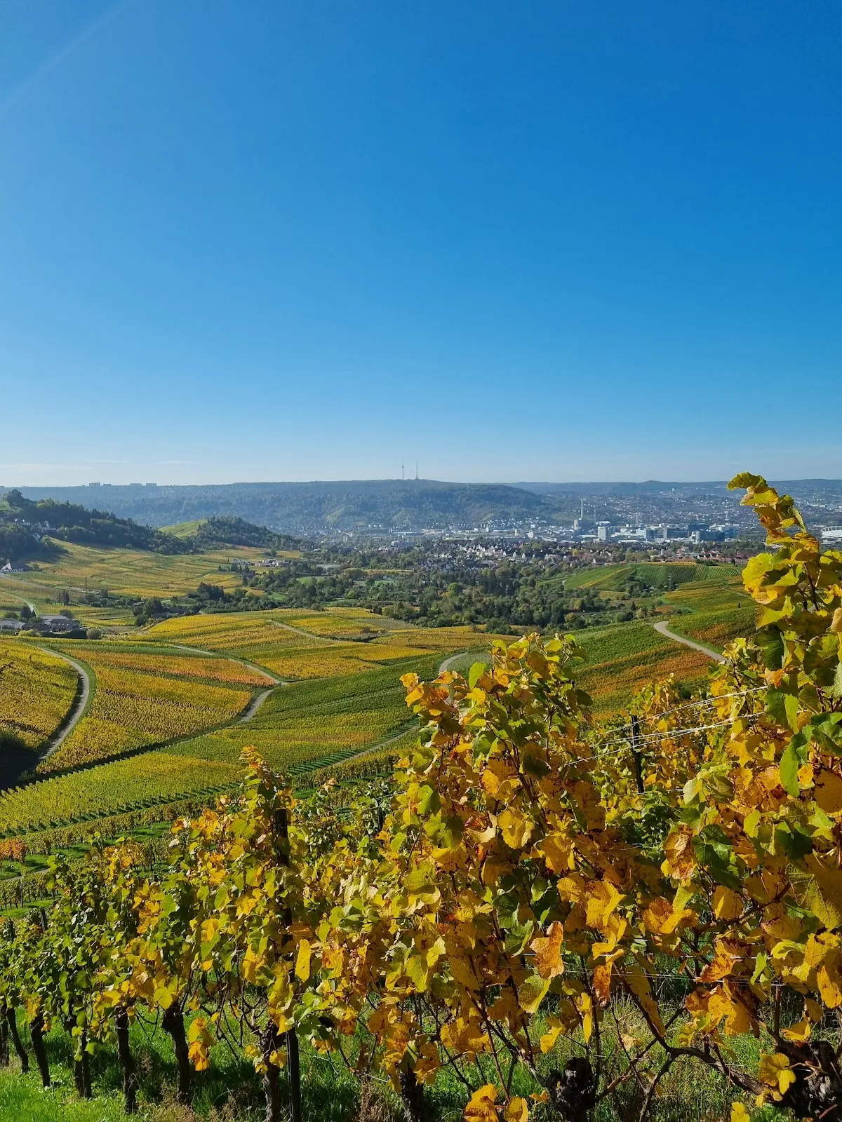 Вид на Штутгарт со смотровой площадки на Каппельберге