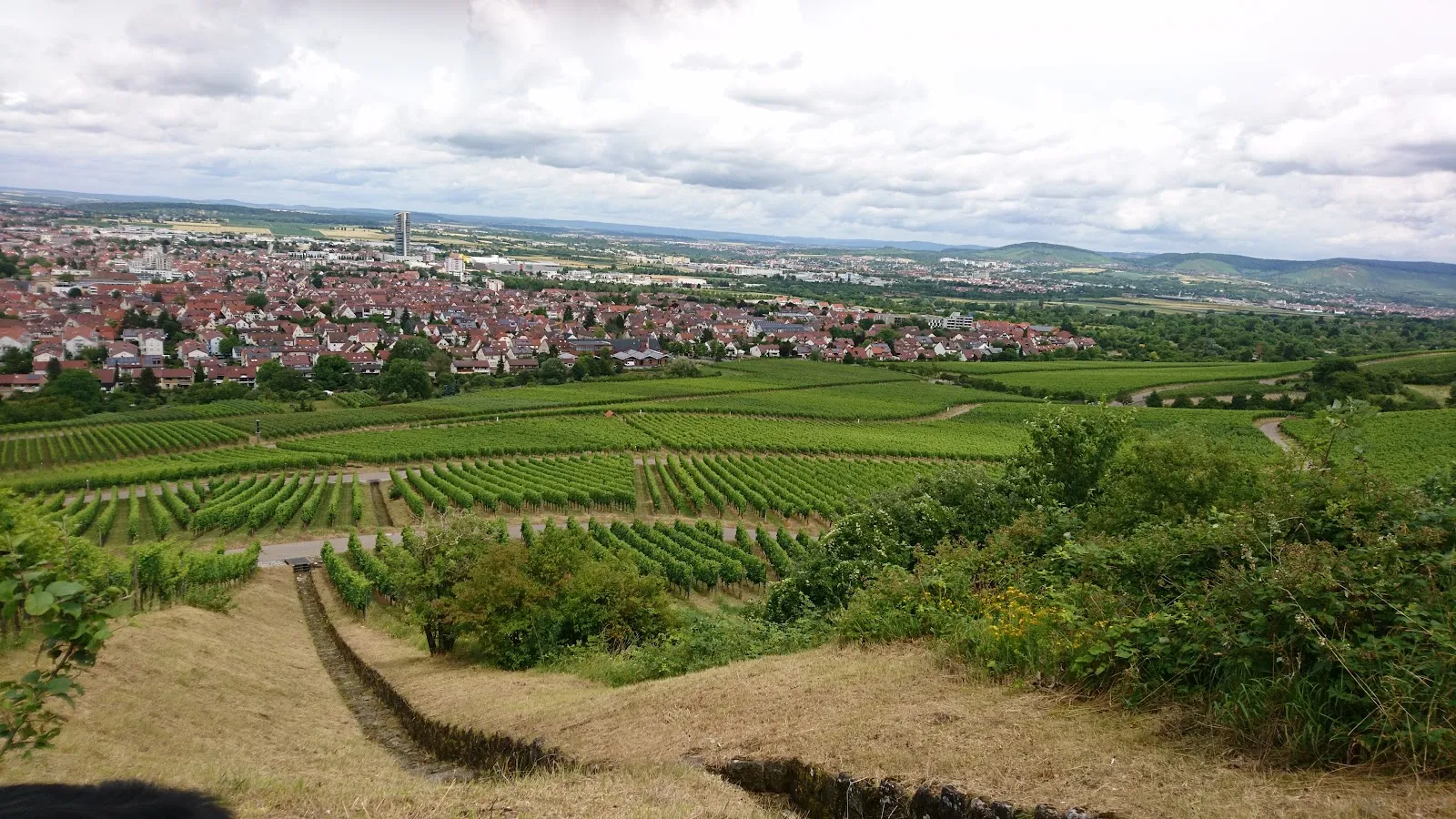 Вид на Штутгарт со смотровой площадки на Каппельберге