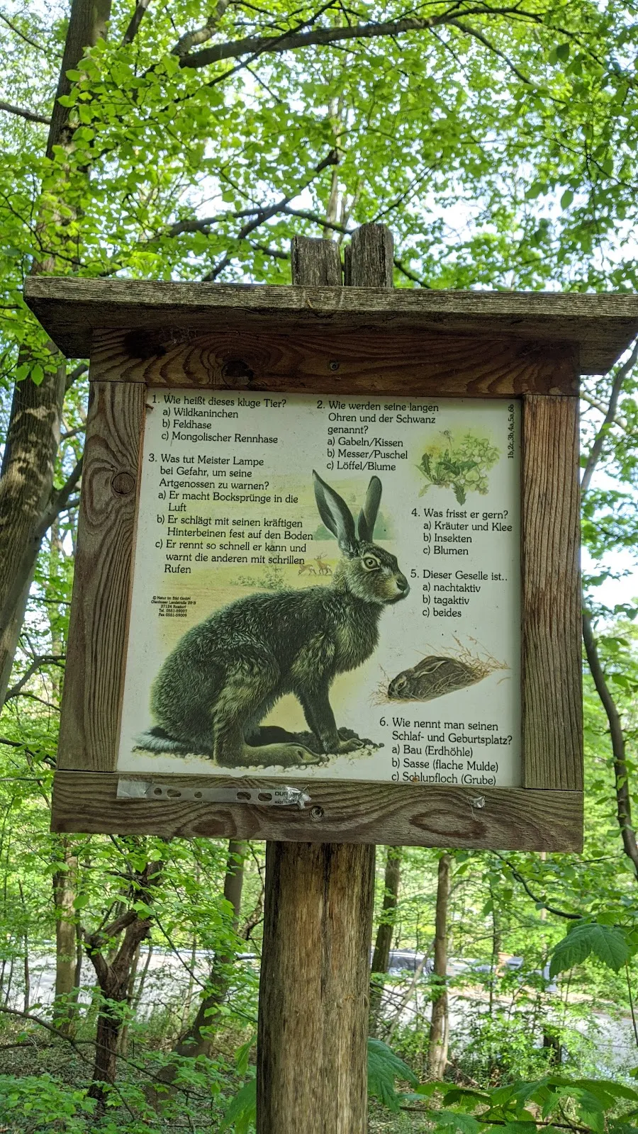 Вид на Штутгарт со смотровой площадки на Каппельберге