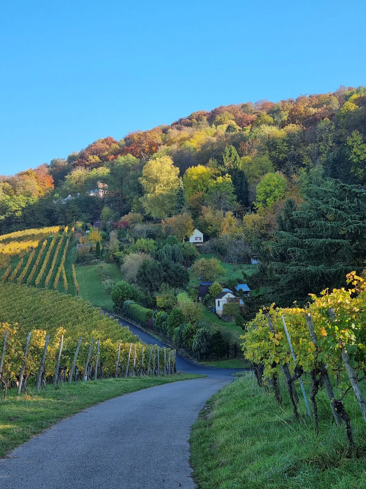 Вид на Штутгарт со смотровой площадки на Каппельберге