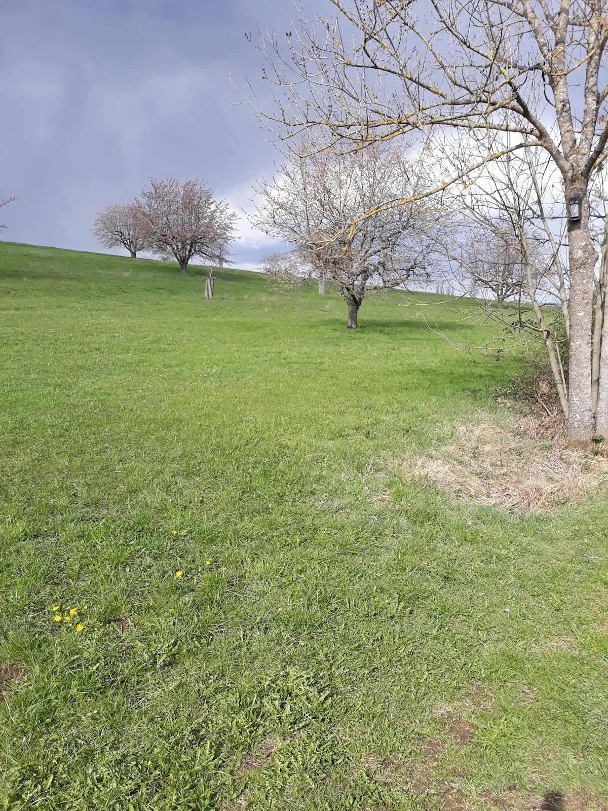 Вид на часовню Каппеле, исторический памятник в Деттинген-унтер-Тек, Германия.