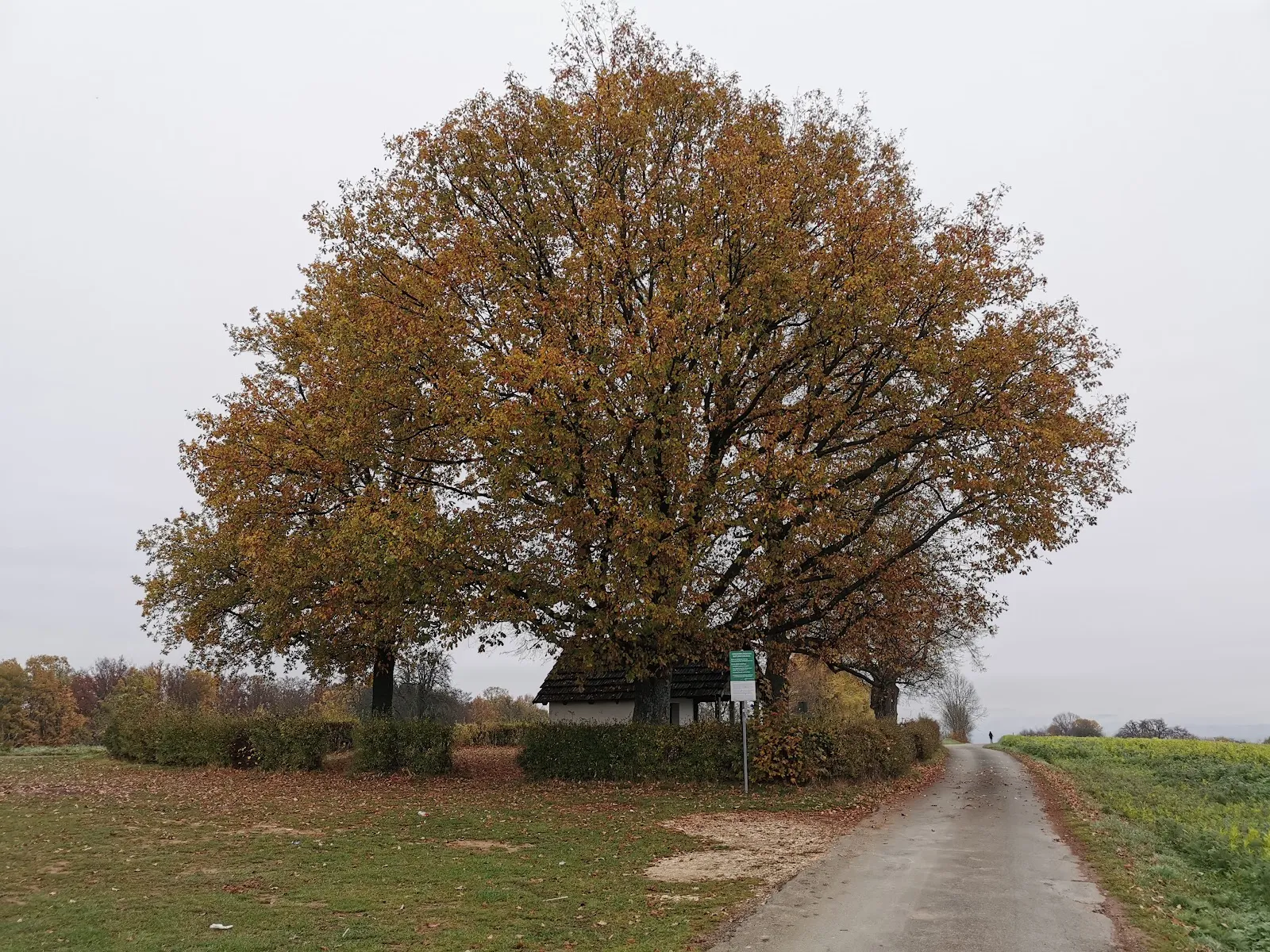 Вид на часовню Каппеле, исторический памятник в Деттинген-унтер-Тек, Германия.