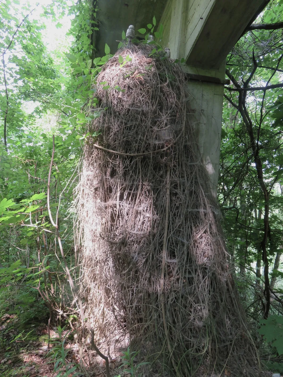 Вид на озеро в карьере Мергель с смотровой площадки