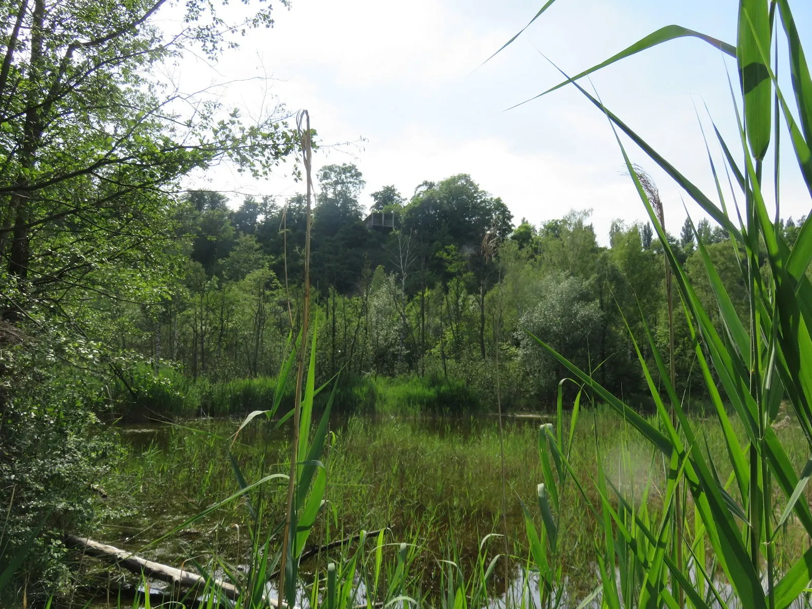 Вид на озеро в карьере Мергель с смотровой площадки