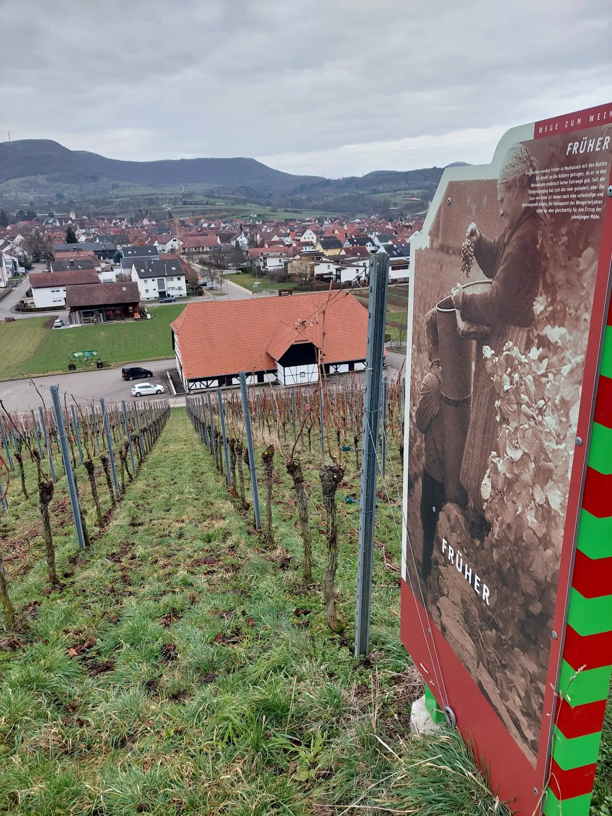 Кельтер в Метцингене