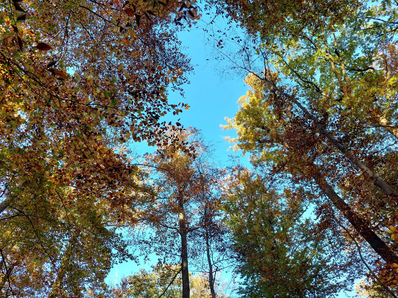 Вид с башни Кернентурм на окрестности