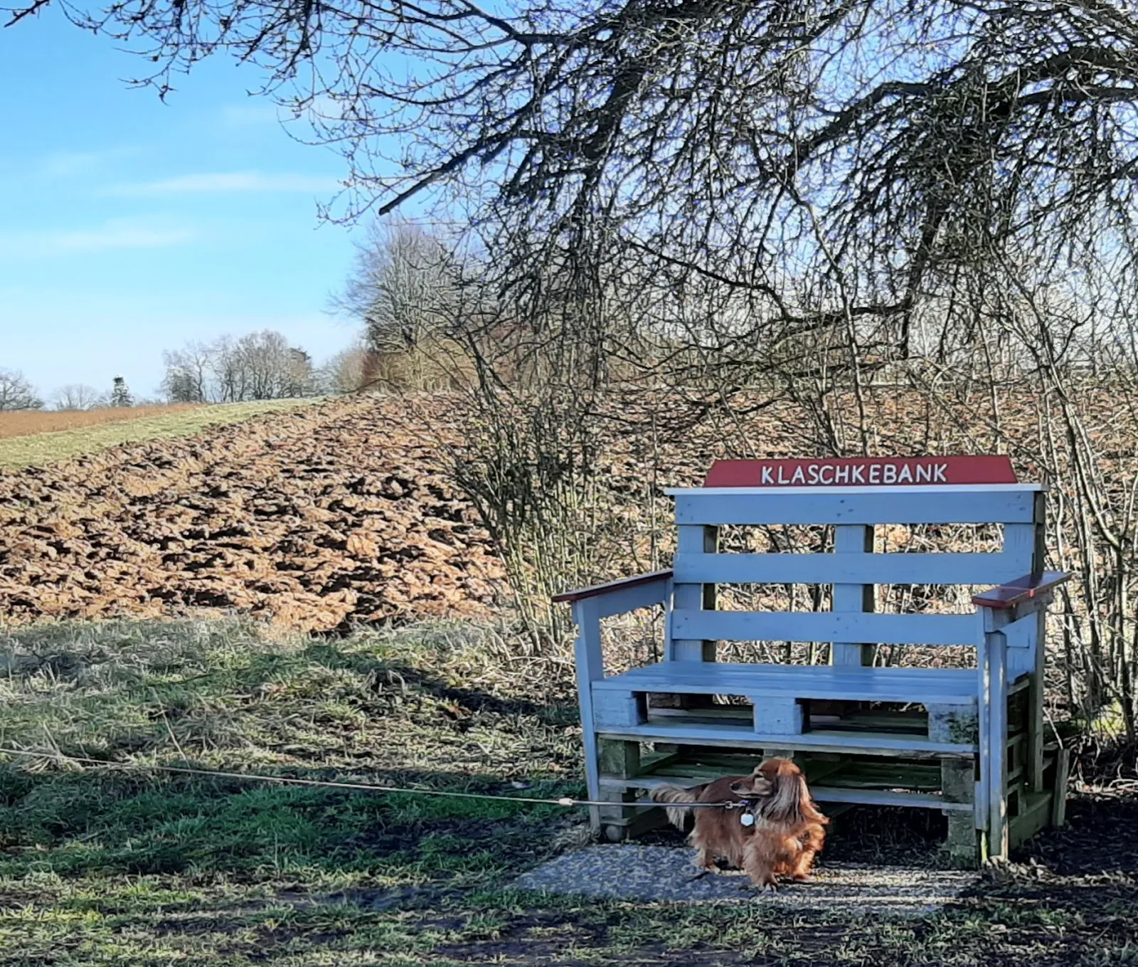 Клашкэбанк