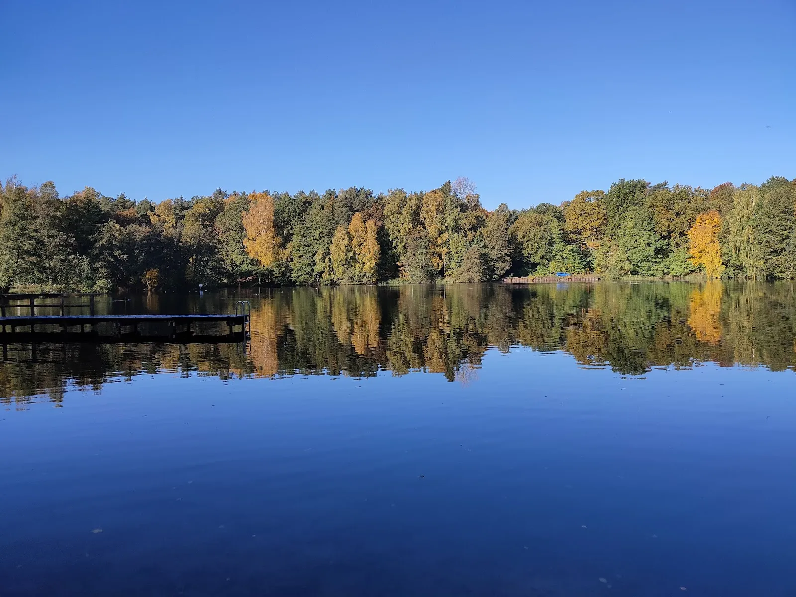Заповедник Клостер-Ленин, Германия, природа, деревья, тропы, животные