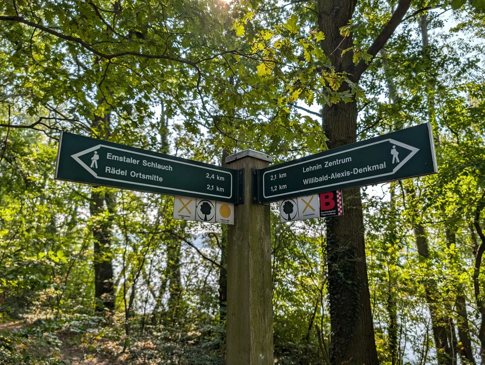 Заповедник Клостер-Ленин, Германия, природа, деревья, тропы, животные