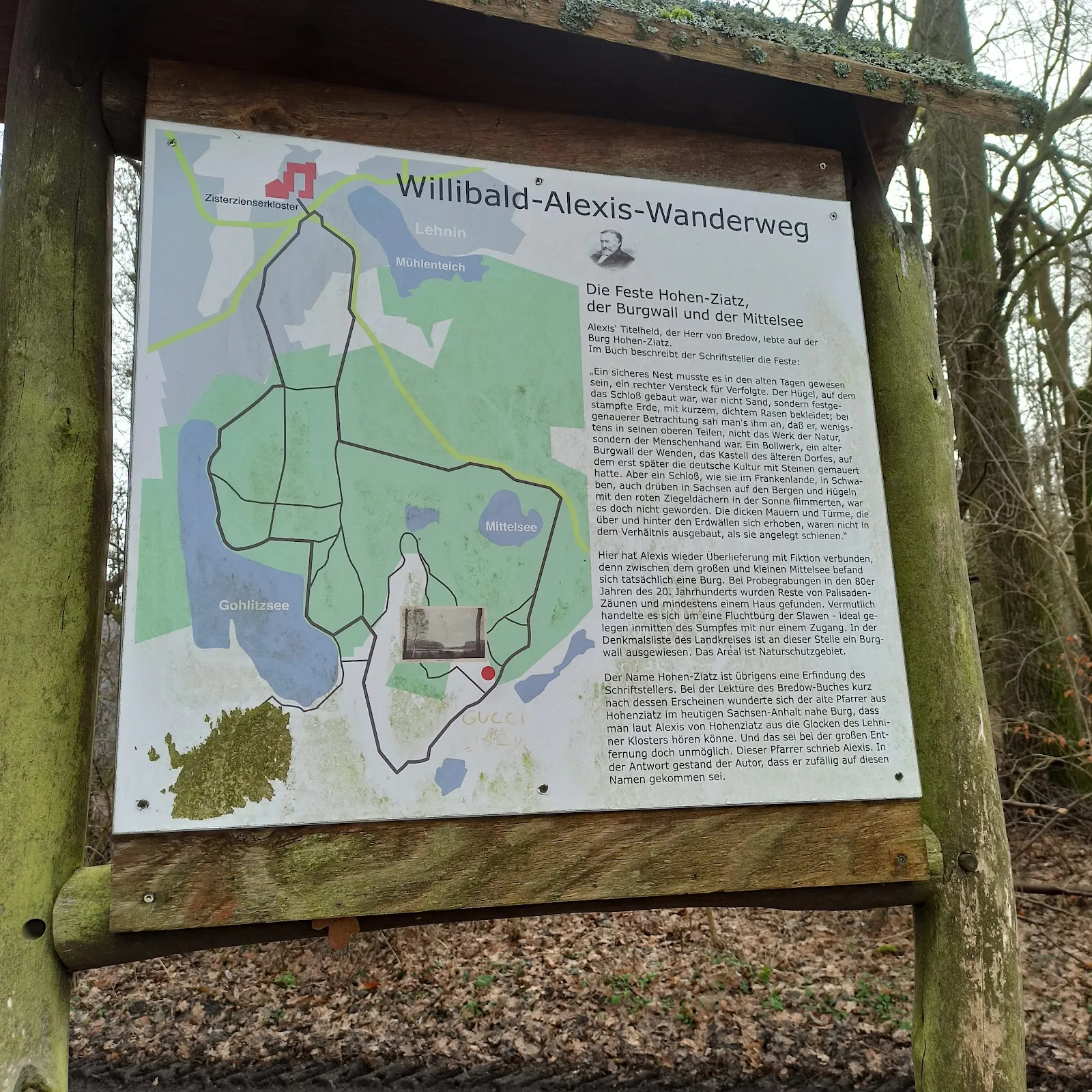 Заповедник Клостер-Ленин, Германия, природа, деревья, тропы, животные