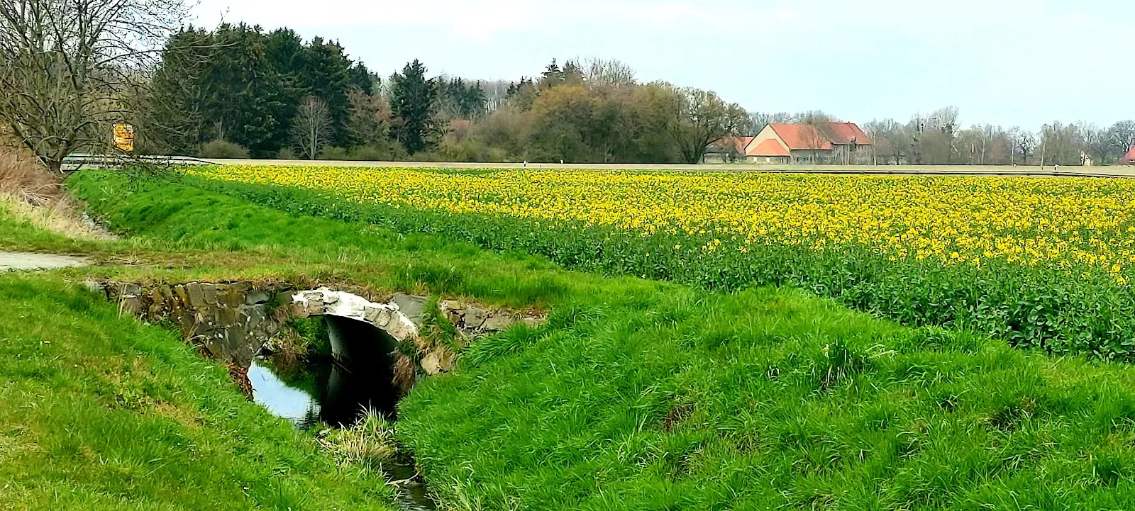 Клостергут Рихенберг - историческое здание монастыря в Германии