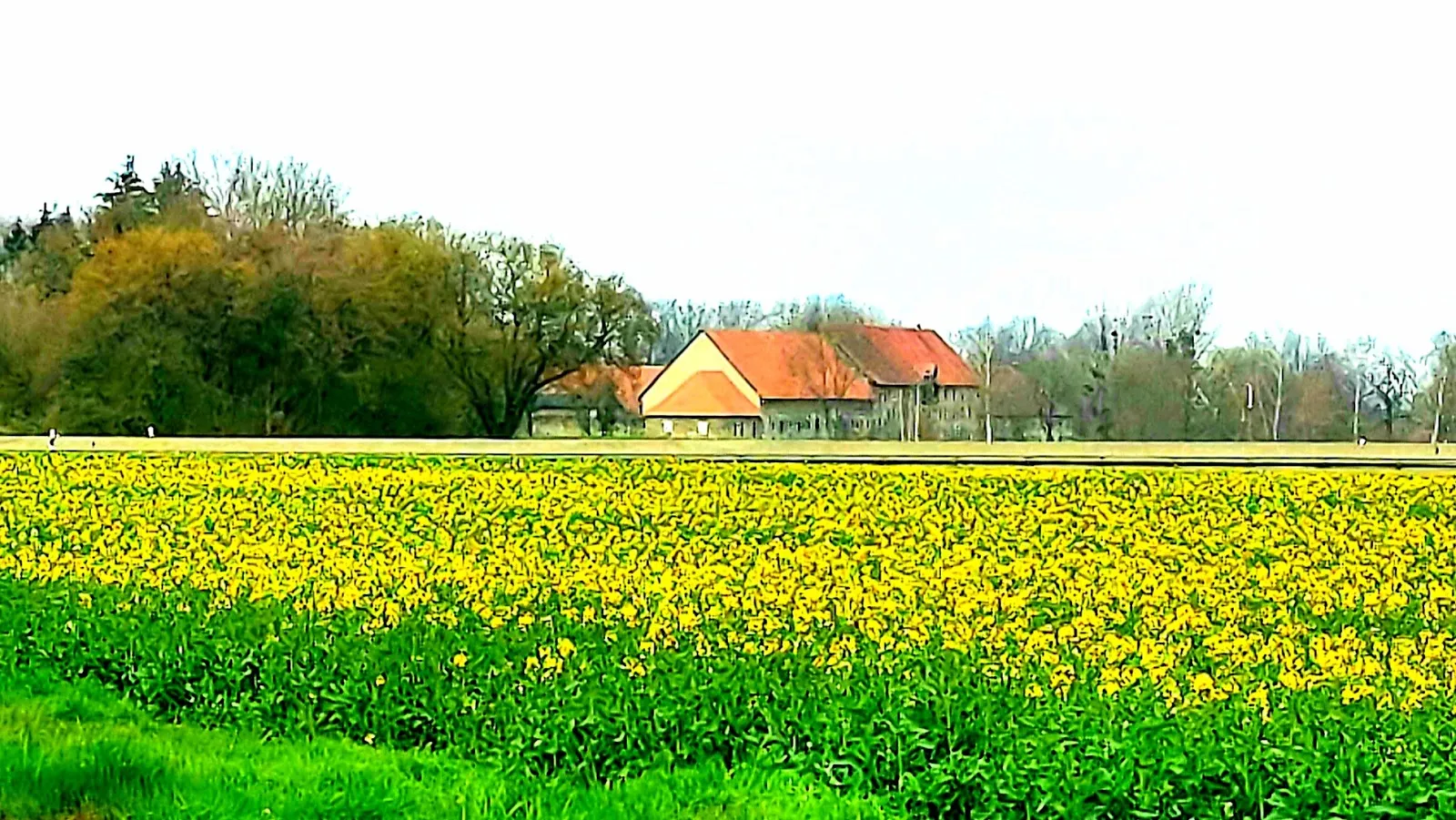 Клостергут Рихенберг - историческое здание монастыря в Германии