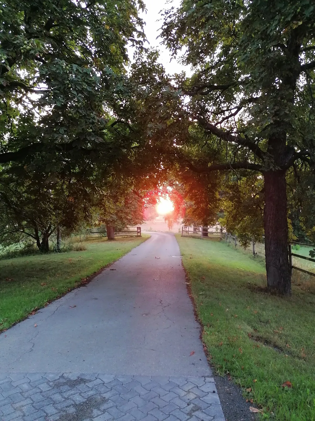 Клостергут Рихенберг - историческое здание монастыря в Германии