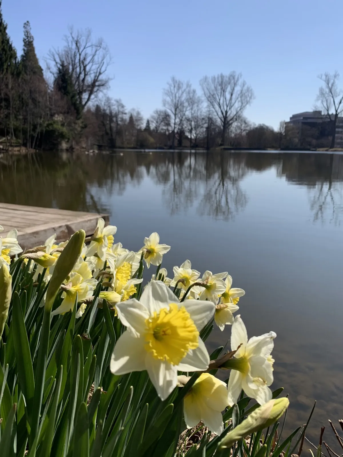 Пейзаж озера Клостерзее в Зиндельфингене с элементами старинной архитектуры
