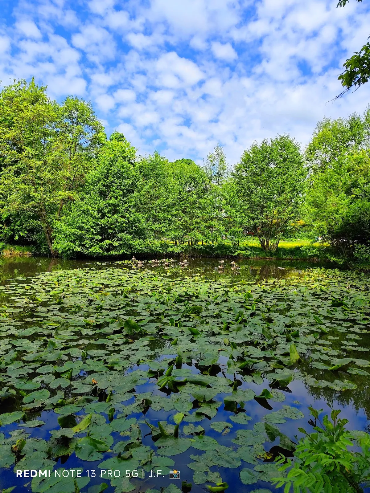 Пейзаж озера Клостерзее в Зиндельфингене с элементами старинной архитектуры