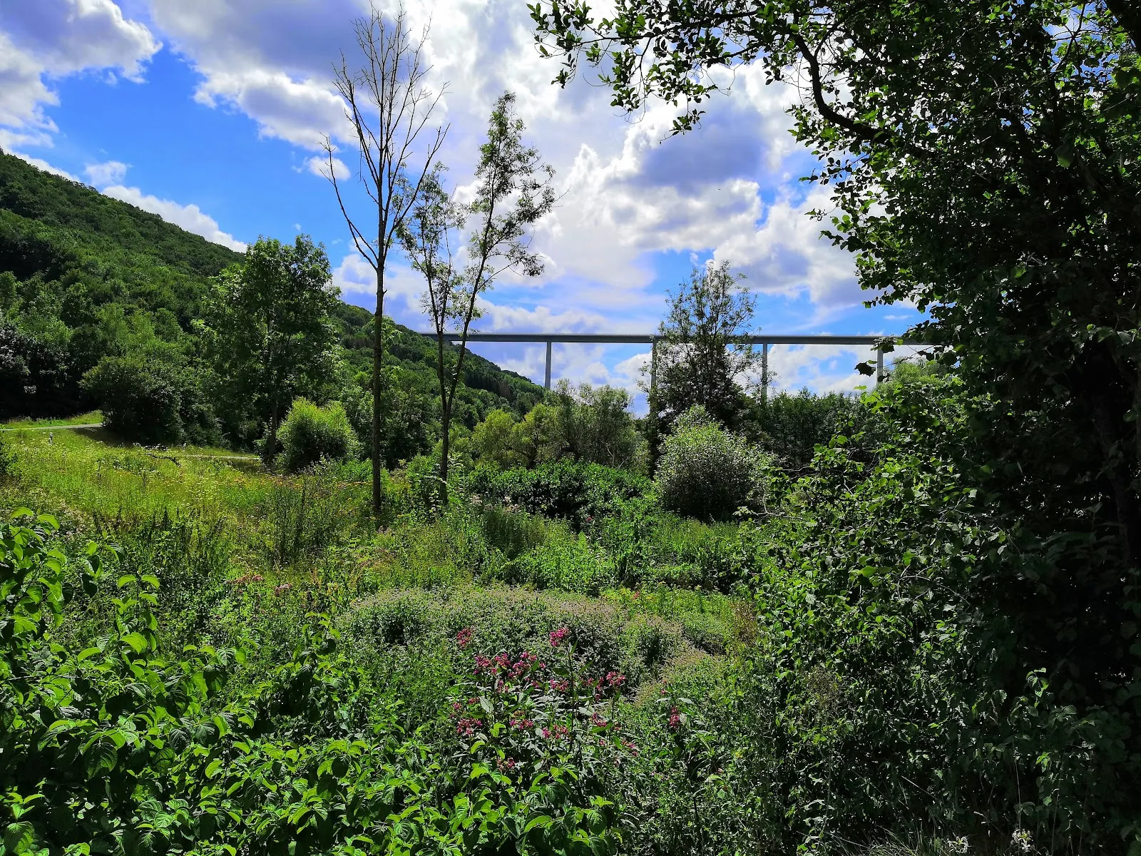 Кохертальский виадук, Германия