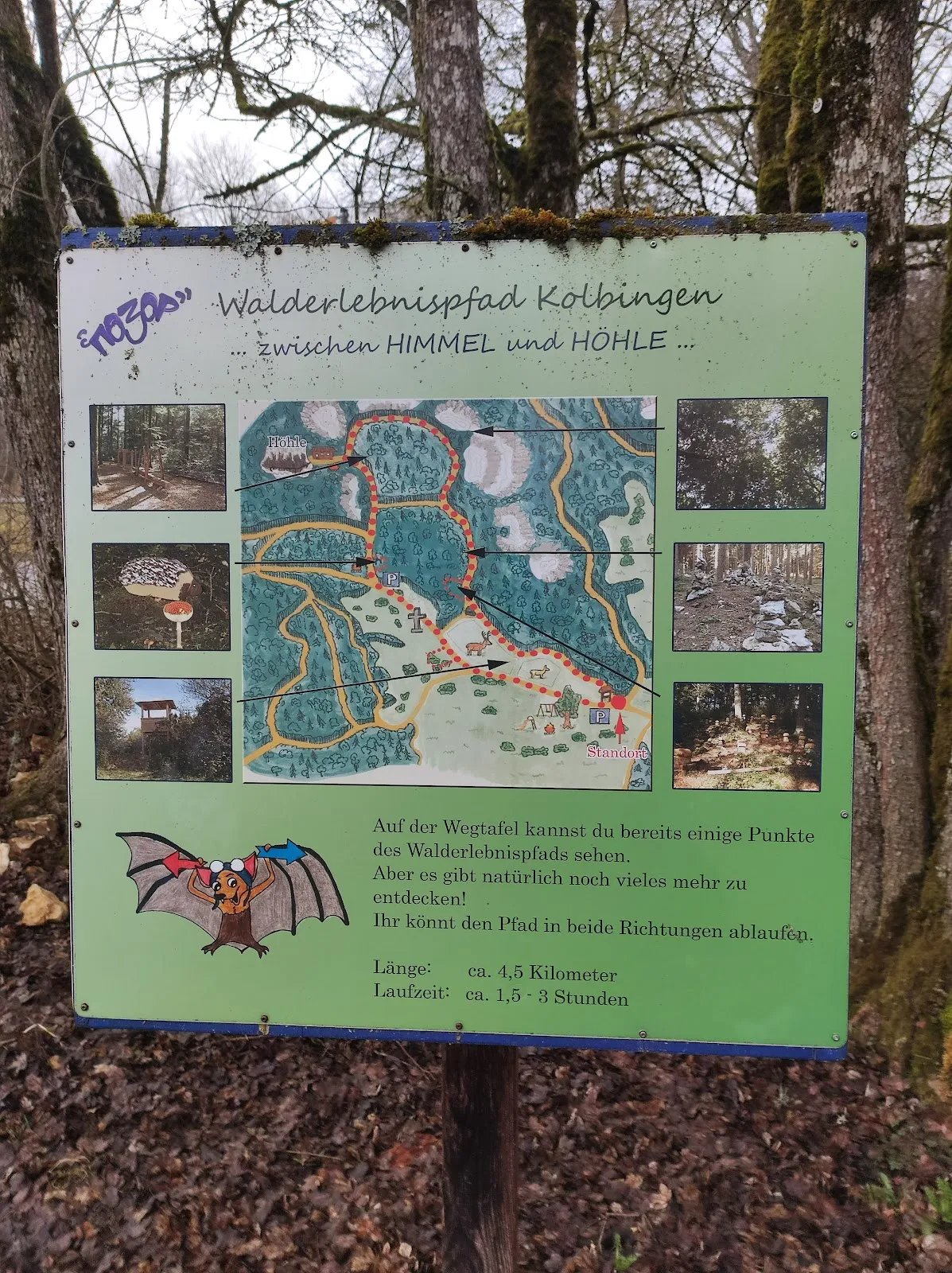 Вход в пещеру Кольбингер Хёле